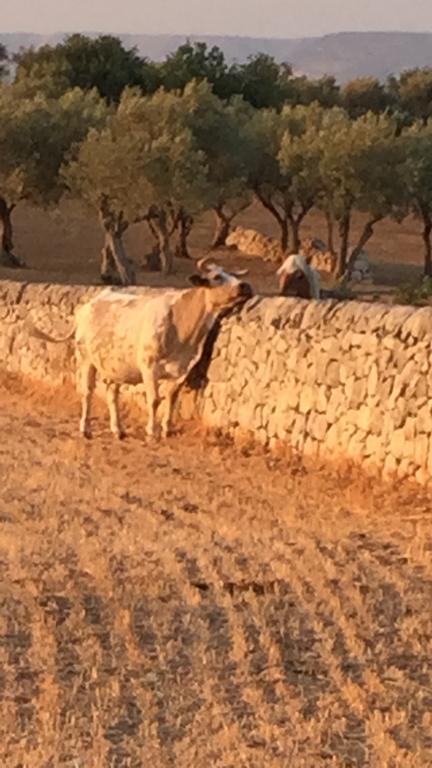 Agriturismo Il Melograno Cannizzara 外观 照片
